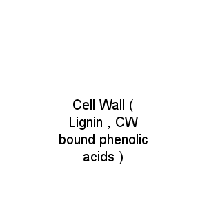 Cell Wall ( Lignin , CW bound phenolic acids )